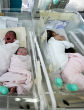 Image of Abortion rates rise in wake of Zika epidemic.