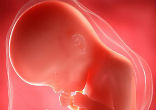 Image of Priest under fire for using aborted baby in Trump endorsement.