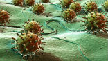 Image of The Spanish Flu killed between three and six percent of the world's population in just two years. 