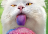 Image of Check our some cute animals to brighten your day.