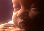 Image of Lawmakers push to put an end to abortions.