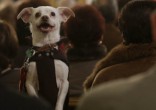 Image of Animal activists say their pets have souls and deserve to be allowed into church.