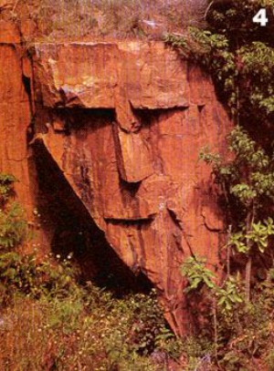 Will stones literally 'cry out' (Ranger Rick magazine/National Wildlife Federation)?