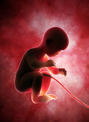 New technology reveals clear images of a baby squirming in the womb.