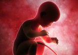 Image of New technology reveals clear images of a baby squirming in the womb.