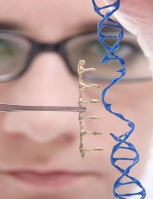 What is the Catholic perspective on gene editing?