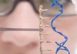 Image of What is the Catholic perspective on gene editing?