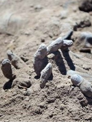The sight of the bodies dumped in the mass grave brought one soldier to tears.