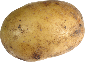 Did Pope Francis call the Virgin Mary a couch potato?