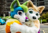 Image of Cal State San Marcos offers courses on animal-based sex fetishes.