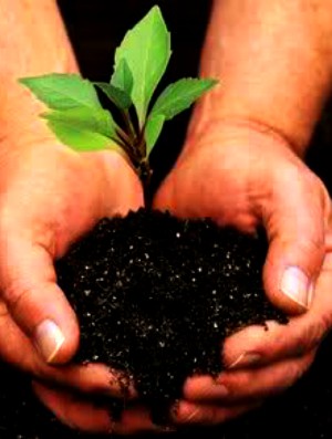 What does God say about preserving the Earth?
