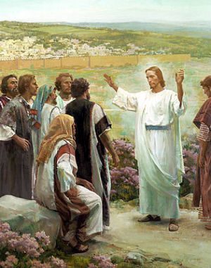 'Through the Church, Christ continues his mission as the Good Samaritan, caring for the bleeding wounds of humanity, and as Good Shepherd, constantly seeking out those who wander along winding paths that lead nowhere.'