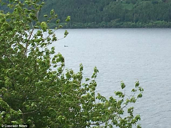Does this picture show the Loch Ness Monster?