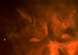 Image of Our adversary is the devil. 