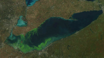 Lake Erie is swelling to record levels. The brig green streaks on the image are caused by algae blooms.