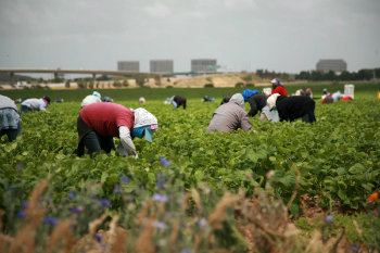 Farming, with its backbreaking labor and myriad of challenges, is about to become an anachronism. Vertical farming will replace the traditional farm within the next few decades.