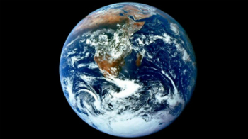Earth is in the midst of a sixth mass extinction.