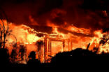 Image of We pray for the victims of these terrible fires. Hundreds remain missing. 