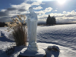 Image source: Abbey at Genesee