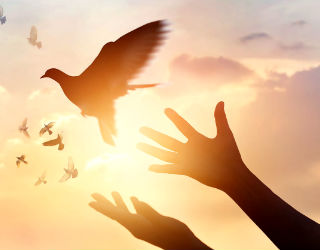 The God-given mission for us in 2018 is to faithfully use our time to spread this divine truth!