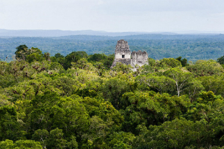The jungle continues to hide ancient cities and secrets, which only now are being rediscovered.