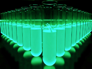 Scientists have discovered how to use stem cells to clone embryos.