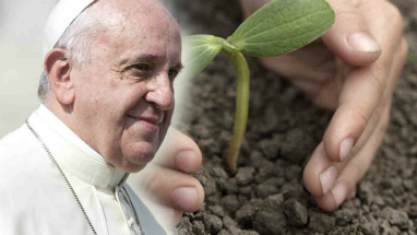 Pope Francis is providing the leadership we need. Are we faithful enough to follow?
