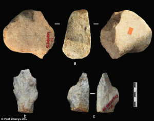 These hand axes are dated to 2.1 million years of age. Photo: Prof Zhaoyu Zhu.