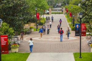 The University of St. Thomas - Houston The University of St. Thomas - Houston