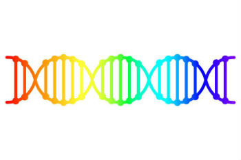 LGBT