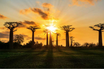 Madagascar