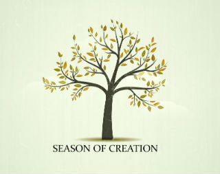 Pray, plant trees, research ways your house and parish can go green!