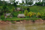 Image of Peruvian Amazon