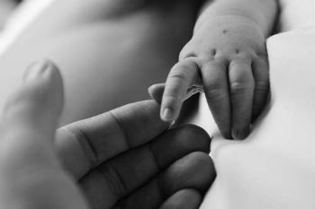 Newborn