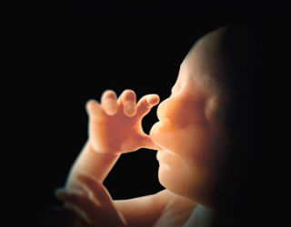 Image of An unborn baby does not have the protection of being seen for what he or she is -- a miraculous new human life.