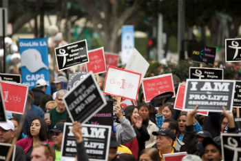 Image of Pro-Life March