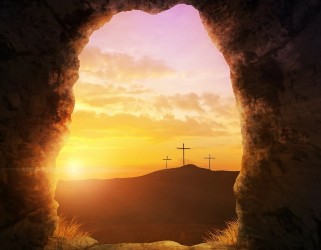Image of