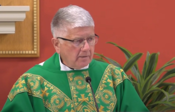 Image of Fr. Meeks warns us about voting for leftist candidates. 