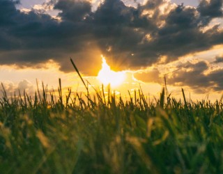 Photo by Aaron Burden on Unsplash Photo by Aaron Burden on Unsplash