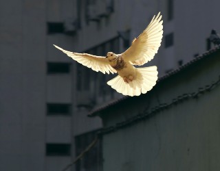 Photo by Sunguk Kim on Unsplash Photo by Sunguk Kim on Unsplash