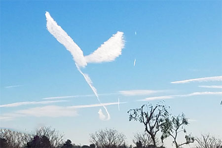 Do you see an angel? We do!
Photo Credit: Benita Montano Do you see an angel? We do!
Photo Credit: Benita Montano