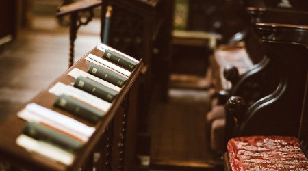 Photo by Annie Spratt on Unsplash Photo by Annie Spratt on Unsplash