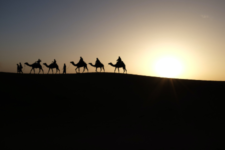 Photo credit: Inbal Malca Photo credit: Inbal Malca