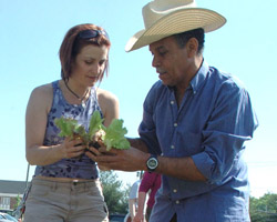 Image of WOMAN HELPS REFUGEE PLANT LETTUCE – Laurie Soileau of Catholic Charities Refugee and Immigration Services, helps Edigno Moreno of Cuba as he prepares to plant lettuce in the new refugee community garden at Holy Name Church in Nashville, Tenn., in late April. (CNS/Tennessee Register)
