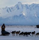 Image of WHITE AS SNOW - A musher runs her team toward the Knik Lake checkpoint during the 2002 Jr. Iditarod in Alaska. (Anchorage Daily News/Stephen Nowers)
