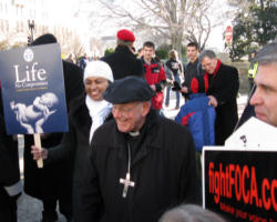 Image of Apologists, activists and theologians are being stirred as never before. In this world of social networking and instant communication, work in the area of life will take on a level of activity as never before. These messages will be built upon the bedrock of truth and crafted logically in a rhetoric that cannot be refuted.