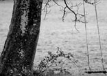 Image of While nearly everyone notices an emptiness in life, what we do with it makes all the difference.
