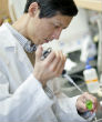 Image of Doctors need to secure additional funding to conduct required research before a treatment can be developed. 