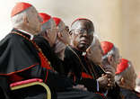 Image of Thus far only two dozen cardinals are using Twitter, with more should to come!