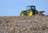 Image of Farmers are concerned about the development of herbicide resistant weeds in the wake of the Monsanto GM seed escape. 